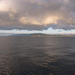 久しぶりの釣果