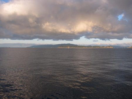 久しぶりの釣果