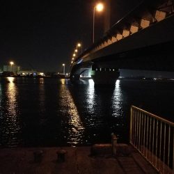 南港へち釣行 （11/1 11月入り南港ヘチ釣り キビレチヌ40cm、真チヌ 釣果有り）