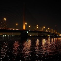 南港へち釣行 （11/5 南港ヘチ釣り キビレチヌ41cm、ハゼ 釣果有り）