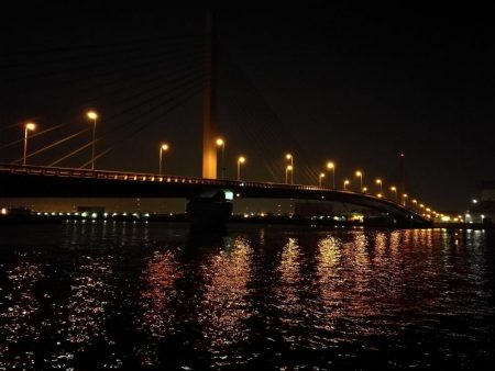 南港へち釣行 （11/5 南港ヘチ釣り キビレチヌ41cm、ハゼ 釣果有り）