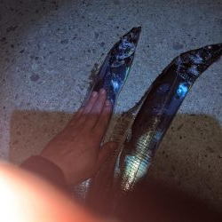 かもめ大橋夕まずめ