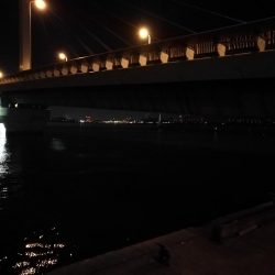 南港へち釣行 （11/12 南港ヘチ釣り キビレチヌ 43.5cm、真チヌ、ハゼ 釣果有り）