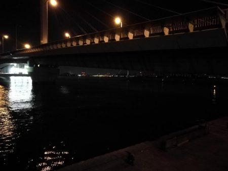 南港へち釣行 （11/12 南港ヘチ釣り キビレチヌ 43.5cm、真チヌ、ハゼ 釣果有り）