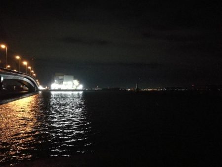 南港へち釣行 (11/16 南港ヘチ釣り キビレチヌ 45cm、真チヌ、ハゼ 釣果有り)