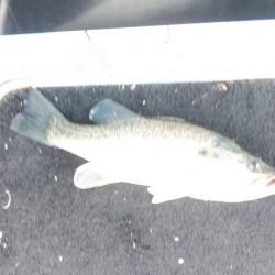 スピニングタックル