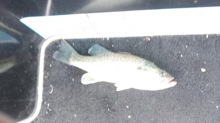 スピニングタックル