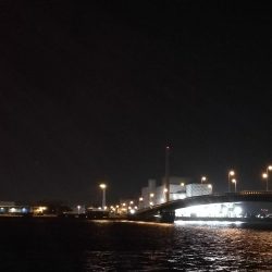 南港へち釣行 (11/20 木枯らし吹く南港ヘチ釣り キビレチヌ 32.5cm、ハゼ 釣果有り)