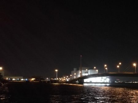 南港へち釣行 (11/20 木枯らし吹く南港ヘチ釣り キビレチヌ 32.5cm、ハゼ 釣果有り)