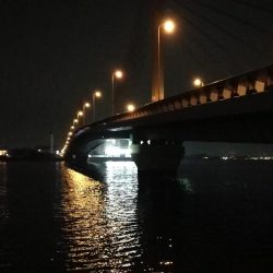 南港へち釣行 (11/21 南港ヘチ釣り キビレチヌ 40cm、ハゼ 釣果有り)