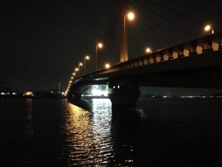 南港へち釣行 (11/21 南港ヘチ釣り キビレチヌ 40cm、ハゼ 釣果有り)