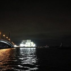 南港釣行 （11/23 南港タチウオ釣り 3本 釣果有り）