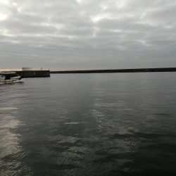 魚探しのライトゲーム用