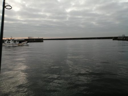 魚探しのライトゲーム用