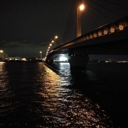 南港釣行 (11/27 南港タチウオ釣り 3本 釣果有り)