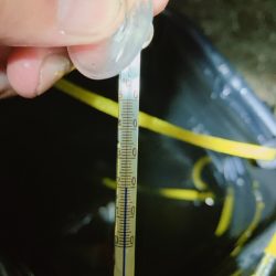 アオリイカ2019秋～②