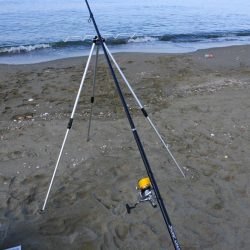 落ちギスを狙ったが、不調