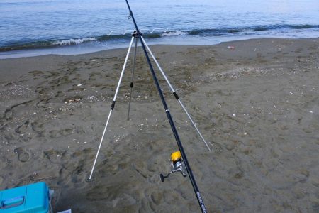 落ちギスを狙ったが、不調