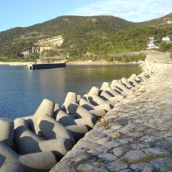 お初がダブルで来たよ