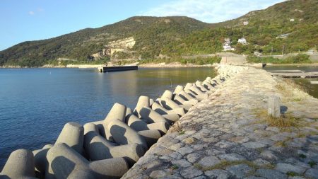 お初がダブルで来たよ