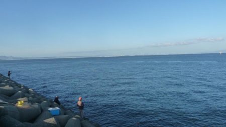 ジグでドラゴン!?