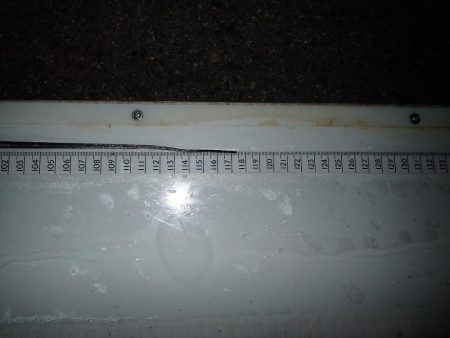 ドラゴンサイズ連日出てます！