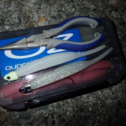 100cm超え！　高確率で出現中！