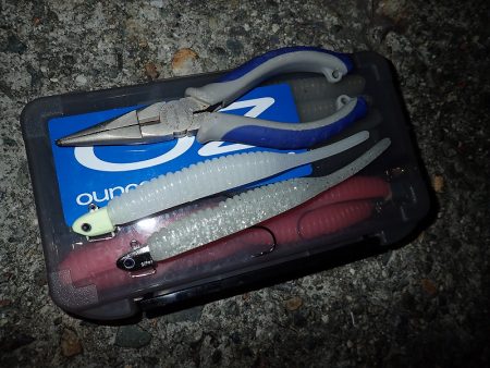 100cm超え！　高確率で出現中！