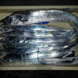 でたっ！120cm超え！！