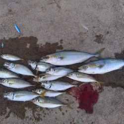 爆釣モード突入