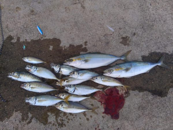 爆釣モード突入