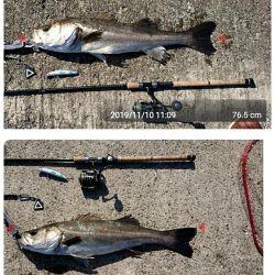 青色のハズが、いぶし銀!