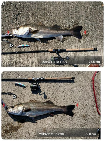 青色のハズが、いぶし銀!