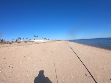 津サーフ ウェーディング マゴチ・ツバス