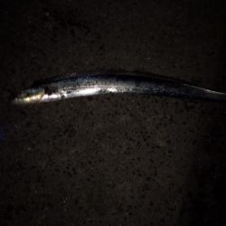 かっとびボール　太刀フロート