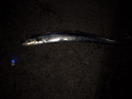 かっとびボール　太刀フロート