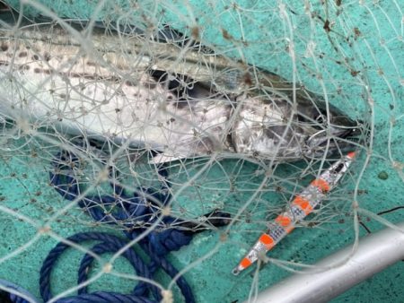 広進丸 釣果