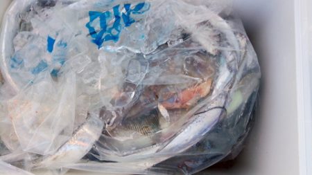 弘福丸 釣果