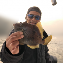 Magic（マジック） 釣果