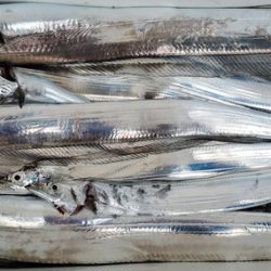 遊漁船 ニライカナイ 釣果