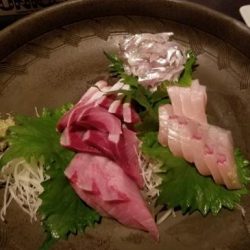 暁〜akatsuki〜 釣果