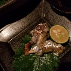 暁〜akatsuki〜 釣果