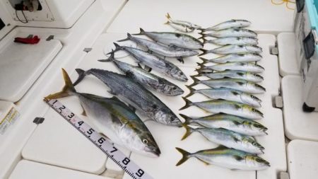 暁〜akatsuki〜 釣果