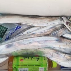 暁〜akatsuki〜 釣果