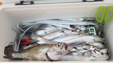 暁〜akatsuki〜 釣果