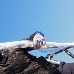 暁〜akatsuki〜 釣果