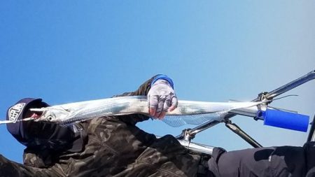 暁〜akatsuki〜 釣果