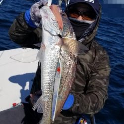 暁〜akatsuki〜 釣果