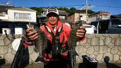 まこと渡船 釣果