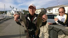 まこと渡船 釣果